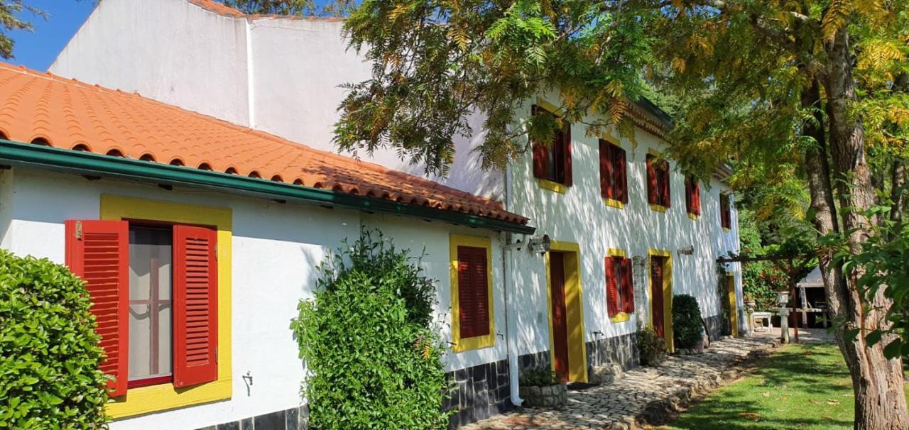 Quinta Flores Ferreira do Zêzere Kültér fotó
