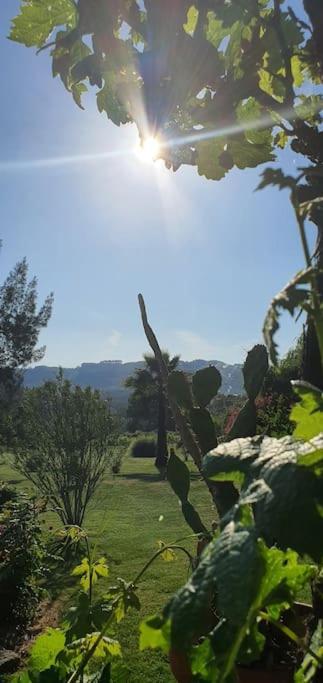 Quinta Flores Ferreira do Zêzere Kültér fotó
