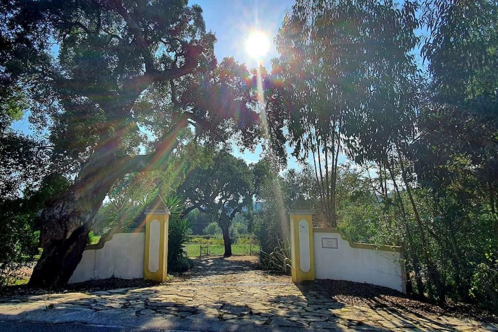 Quinta Flores Ferreira do Zêzere Kültér fotó