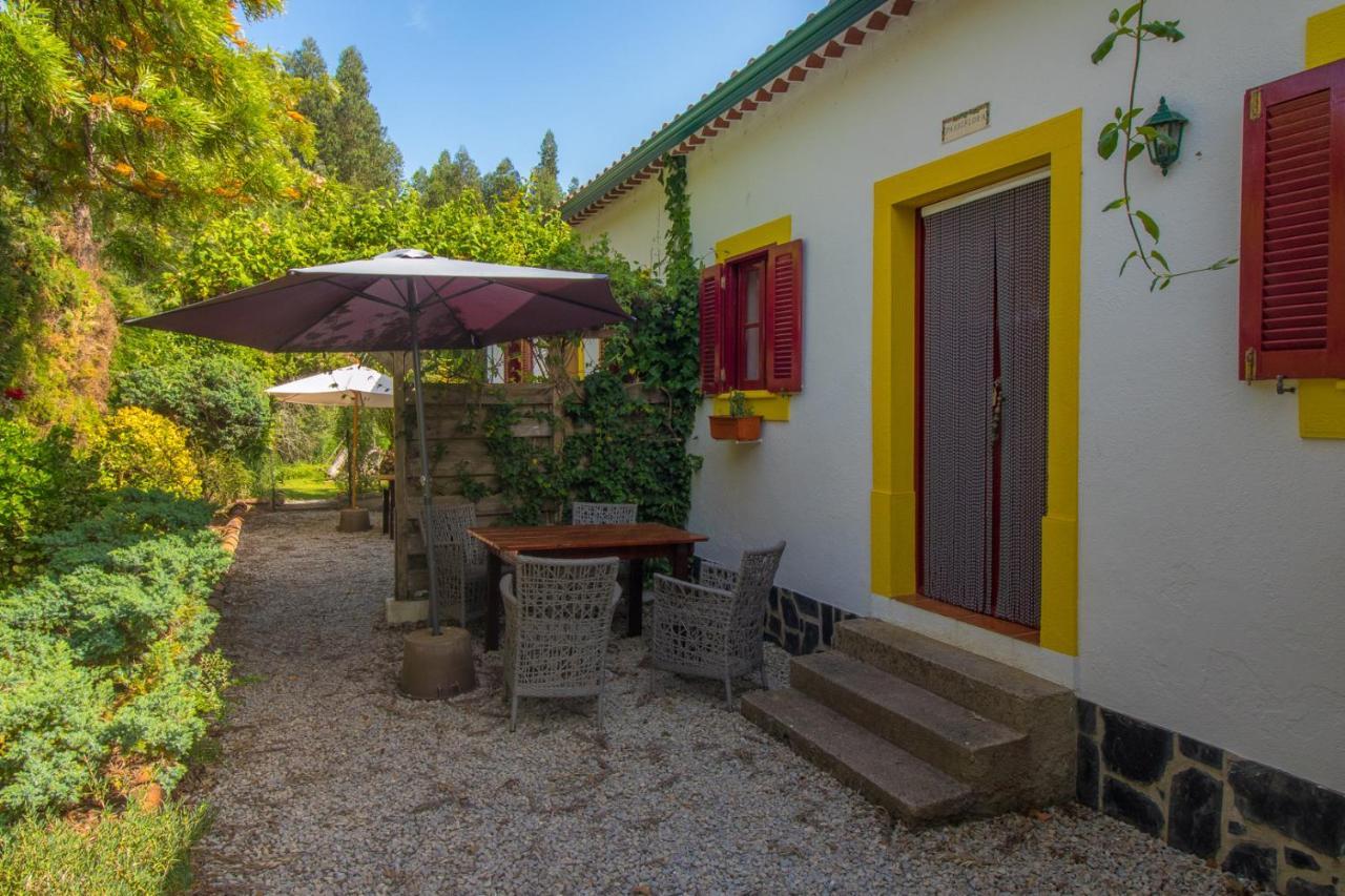 Quinta Flores Ferreira do Zêzere Kültér fotó