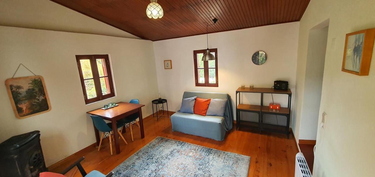 Quinta Flores Ferreira do Zêzere Kültér fotó