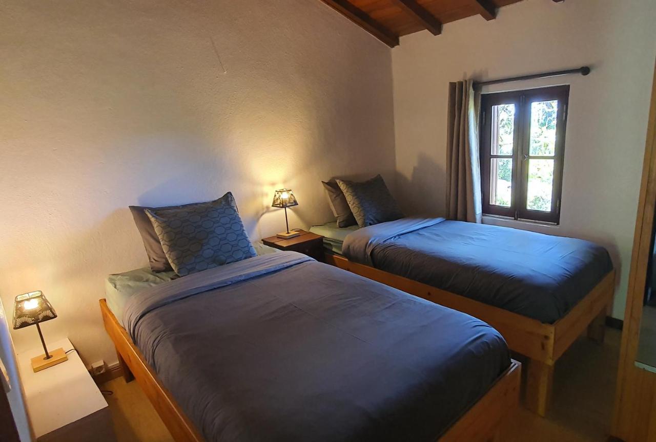 Quinta Flores Ferreira do Zêzere Kültér fotó