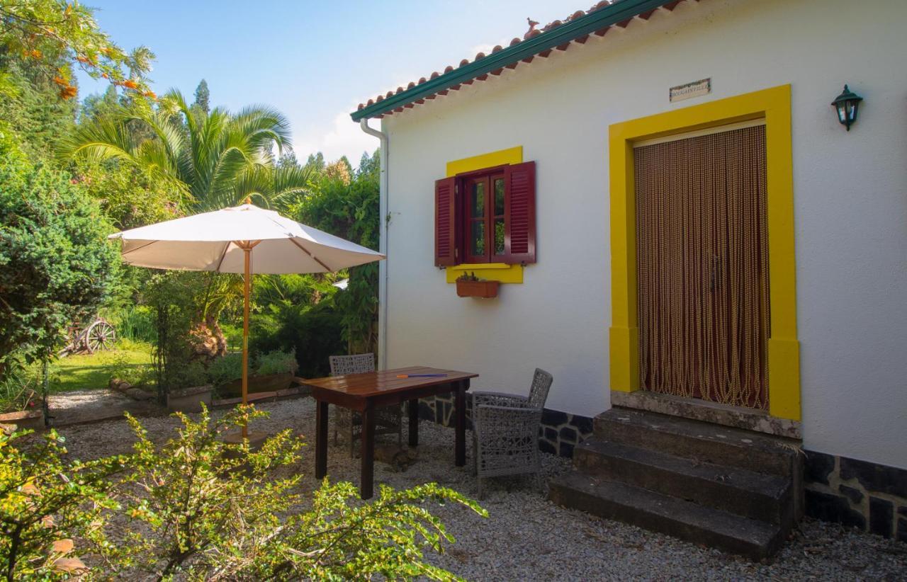 Quinta Flores Ferreira do Zêzere Kültér fotó